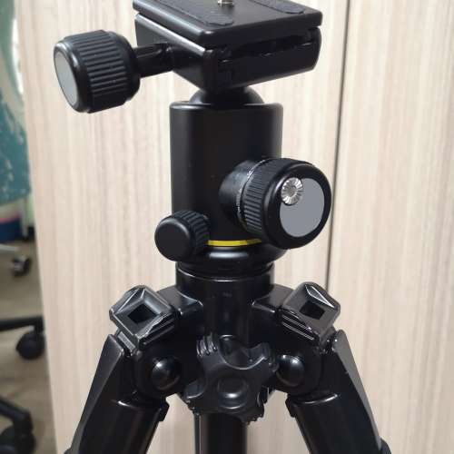 VELBON Neo Carmagne 530A 碳纖維三腳架 + Benro KJ-0A 球形雲台