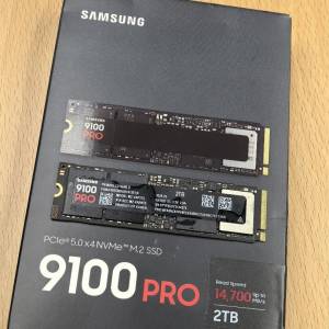 SAMSUNG 9100 PRO 2TB | BIWIN X570 PRO 2TB 漢科保養