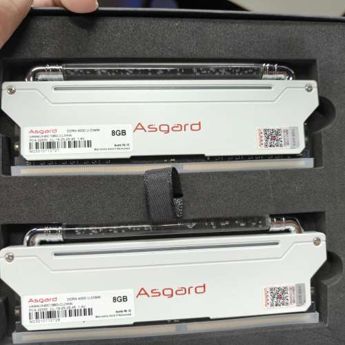 ASGARD  LOKI RGB 16GB 4000MHZ DDR4 RAM 8GB X2