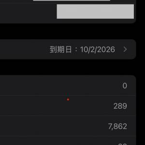 iPhone 16 Pro Max原色。（有保養到26/02）