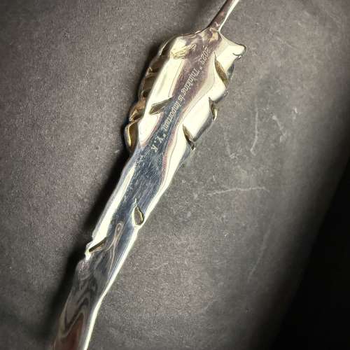 Thinking is important 羽毛925頸帶飾物