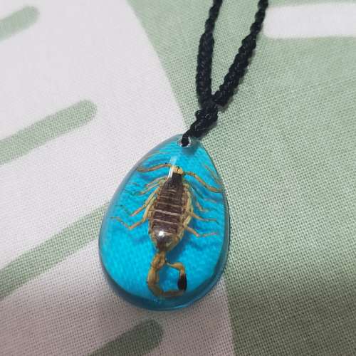 內置昆蟲手繩 頸鏈  潮流物飾物。