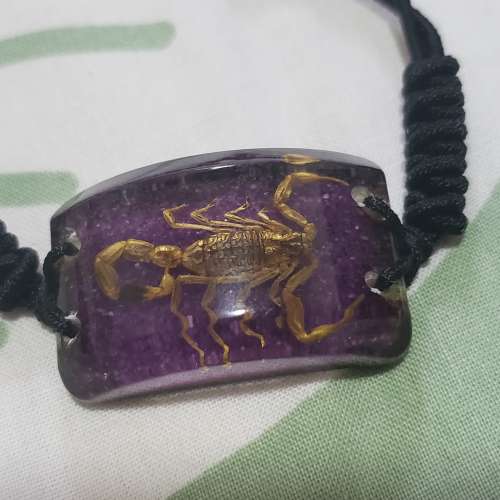 內置昆蟲手繩 頸鏈  潮流物飾物。