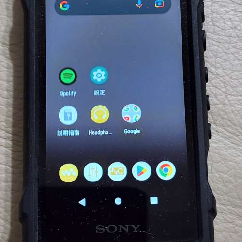 Sony dap nw100