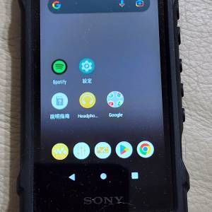 Sony dap nw100