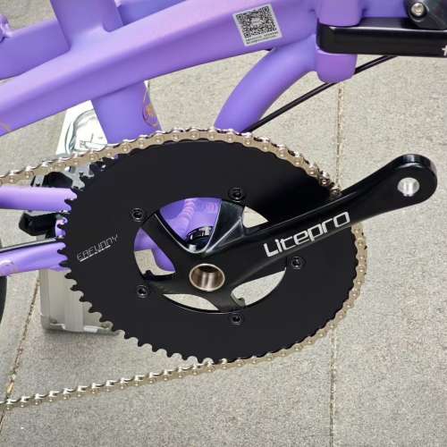 FNHON 風行 DG349 9速16吋碟剎小海豚鋁合金折叠車 送水架前後蛙燈叮叮