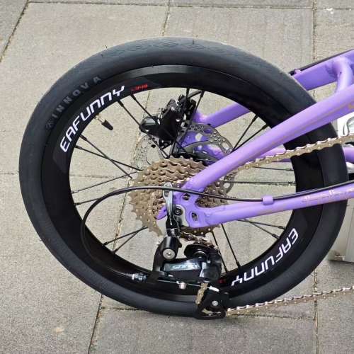 FNHON 風行 DG349 9速16吋碟剎小海豚鋁合金折叠車 送水架前後蛙燈叮叮