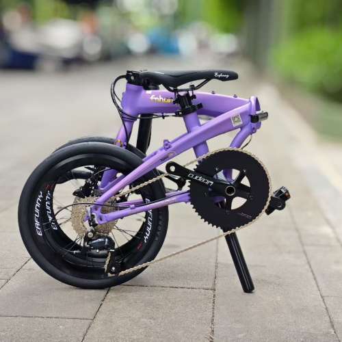 FNHON 風行 DG349 9速16吋碟剎小海豚鋁合金折叠車 送水架前後蛙燈叮叮