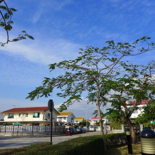 Panasonic Lumix DMC-LX7 1.4大光圈 lx 7輕巧大眼仔