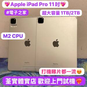 (電子之家性價比高11寸iPad Pro插卡版💗)Apple iPad Pro 11吋/M2 CPU/超大容量1TB-2...