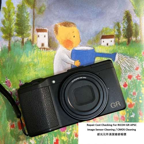 Repair Cost Checking For RICOH GR APSC Image Sensor Cleaning / CMOS Cleaning