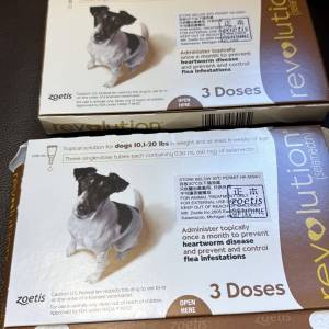 Revolution for Dog