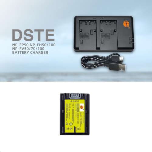 NP-FV100A V-Series Fully Decoded Lithium-Ion Battery Pack With USB Charger 代...