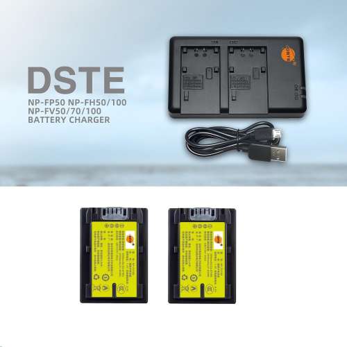 NP-FV100A V-Series Fully Decoded Lithium-Ion Battery Pack With USB Charger 代...