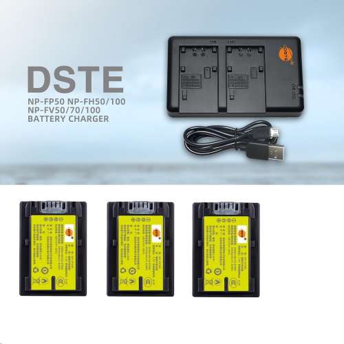 NP-FV100A V-Series Fully Decoded Lithium-Ion Battery Pack With USB Charger 代...