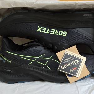 Asics GT-2000 12 (Gore-Tex) 全新  Size US 8.5