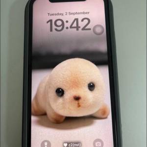 Apple iPhone 12，黑色