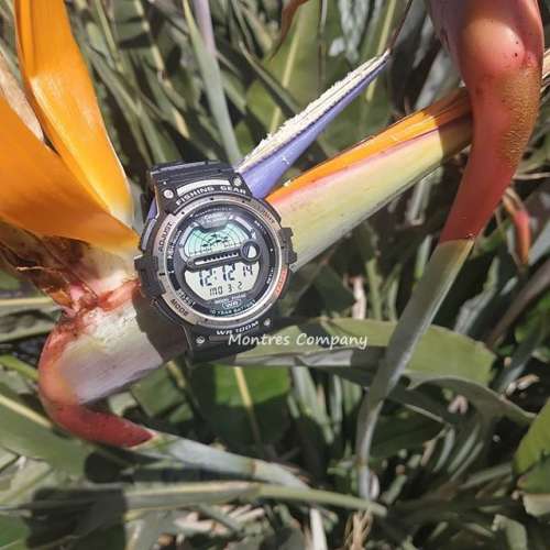 Montres Company香港註冊公司(26年老店)CASIO 釣魚錶 磯釣 月齡月相資料 十年電池...