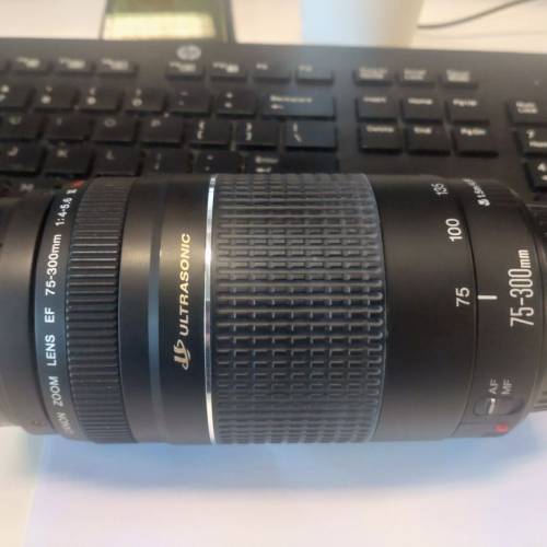 Canon EF 75-300mm 1:4-5.6 III USM (留意內容）