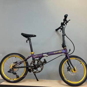 2025 DAHON 大行 P8(KBC083) 紀念限量款 20吋鉻鉬鋼折叠車 送水架前後蛙燈叮叮