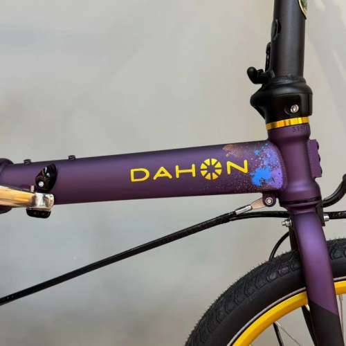 2025 DAHON 大行 P8(KBC083) 紀念限量款 20吋鉻鉬鋼折叠車 送水架前後蛙燈叮叮