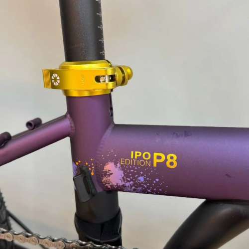 2025 DAHON 大行 P8(KBC083) 紀念限量款 20吋鉻鉬鋼折叠車 送水架前後蛙燈叮叮