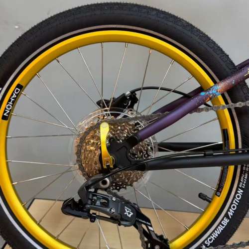 2025 DAHON 大行 P8(KBC083) 紀念限量款 20吋鉻鉬鋼折叠車 送水架前後蛙燈叮叮