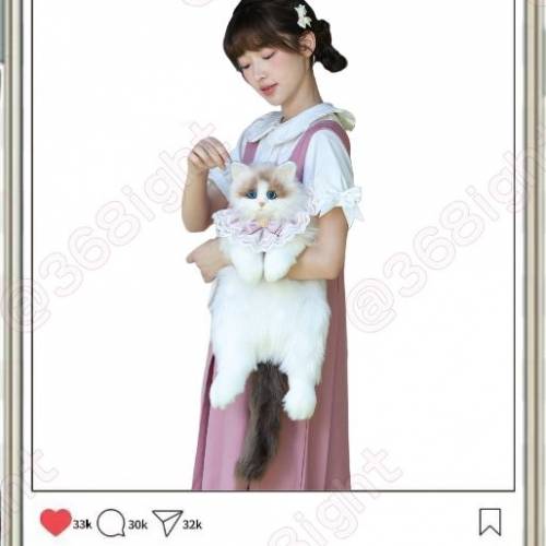 🐾【萌力全開·布偶貓仿真揹包】🐾