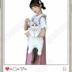 🐾【萌力全開·布偶貓仿真揹包】🐾