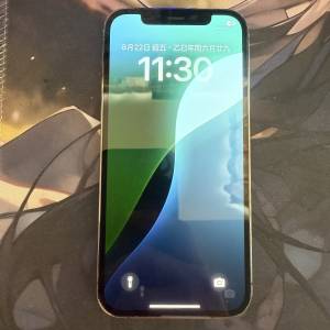[電池100%] Apple iPhone 12 Pro (256GB) MGLE3ZA/A [港行] 黑色 Black