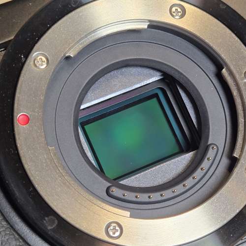 Panasonic Lumix GX7 Body