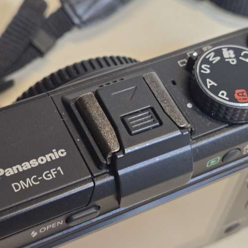 Panasonic Lumix GF1