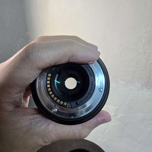 Panasonic 12-60mm f/3.5-5.6