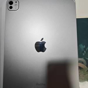 Apple Ipad Pro 11 (Wi Fi + Cellular) M4 2024