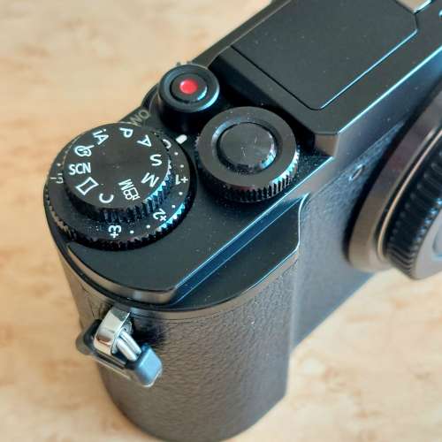 Panasonic Lumix DMC-GX9 / GX7 Mark III