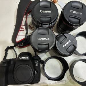 Canon 6D ii + EF lens