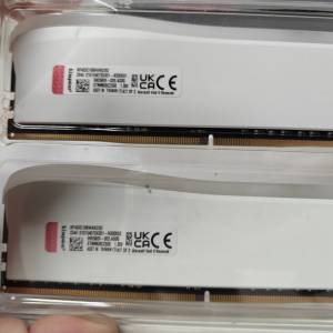 Kingston Technology Fury Beast RGB 特別版 32GB (2x16GB) 3200MT/s CL16