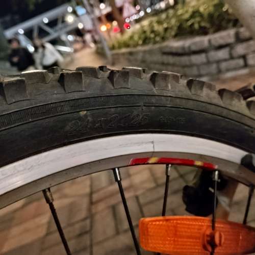 18 速 成人單車一部 ，24吋，不可摺。