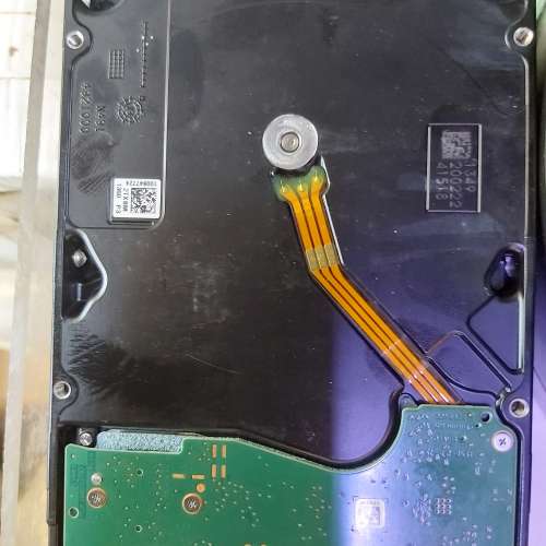 SEAGATE 16TB 有問題硬碟
