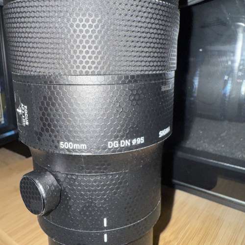 Sigma 500mm F5.6 DG DN OS | Sports