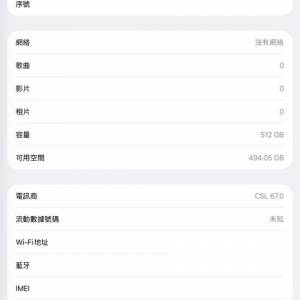 Apple iPad Pro 12.9吋 (第3代) WiFi & 流動數據