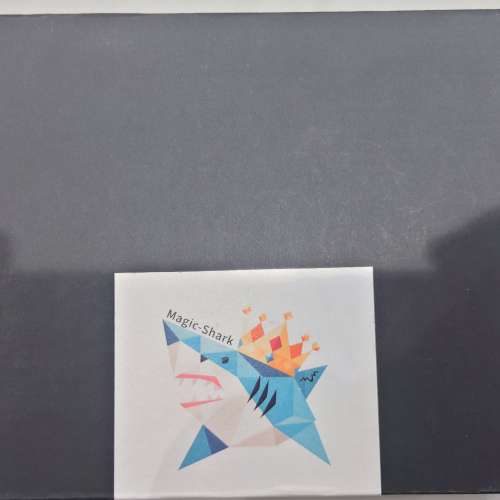 小白菊 Magic-Shark 幻鯊