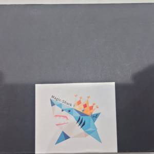 小白菊 Magic-Shark 幻鯊