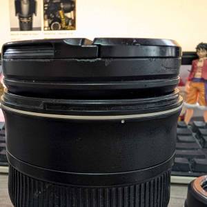 Nikon AF-S NIKKOR 24-70mm f/2.8G ED