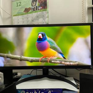 LG  21:9 Full HD IPS 多工作業螢幕 顯示器