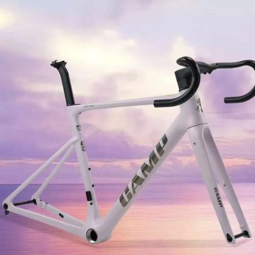 CAMP 坎普 SR9 碳纖維公路車架