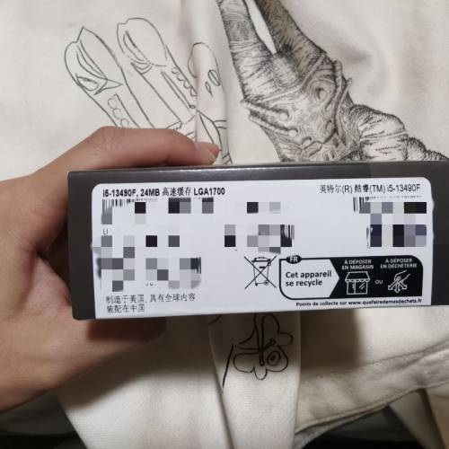 intel core i5 13490f