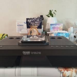 Rayaudio RF-6 膽CD機 not Accuphase Denon Marantz Philips Teac