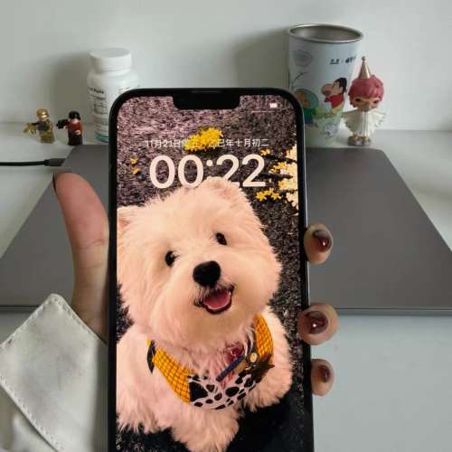 Apple iPhone 13 pro max 1tb 天峰藍，電池效能96 ％，送Magsafe Case及玻璃貼