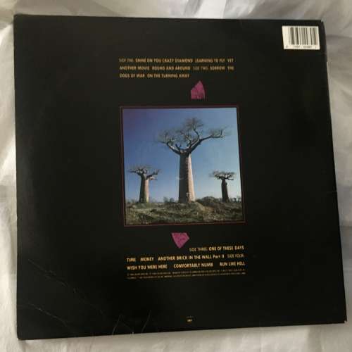 黑膠唱片 Pink Floyd live Delicate Sound of Thunder 1988美版 USA vinyl lp 非常...